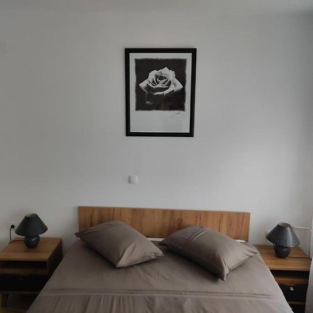Plitvička JezeraStudio Apartman Roseアパートメント エクステリア 写真