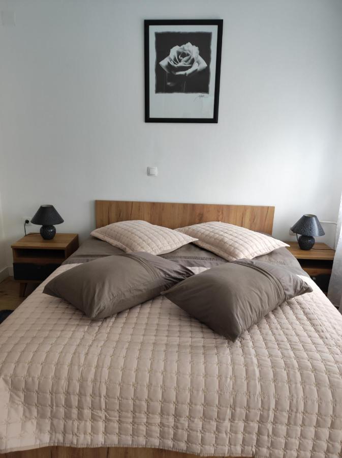 Plitvička JezeraStudio Apartman Roseアパートメント エクステリア 写真