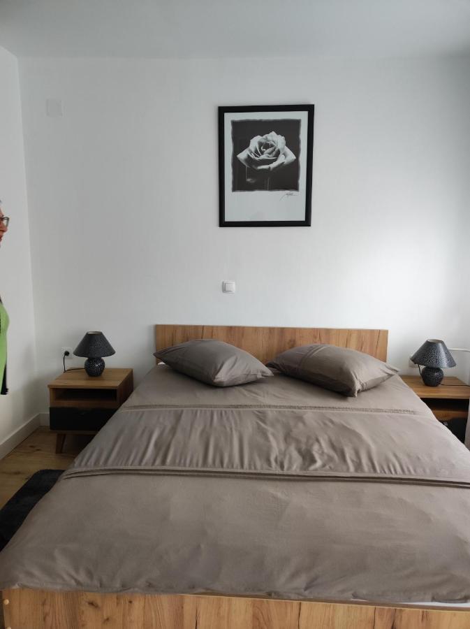 Plitvička JezeraStudio Apartman Roseアパートメント エクステリア 写真